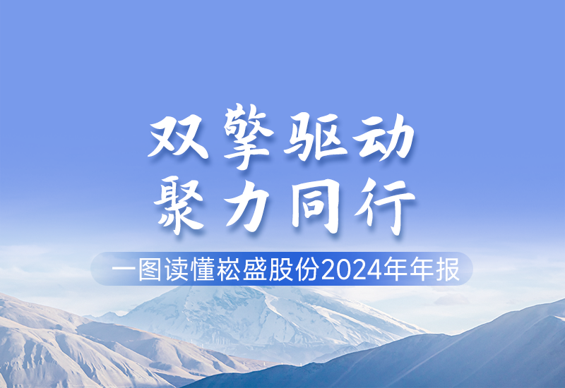 一图读懂 ▏PP电子股份2024年年报