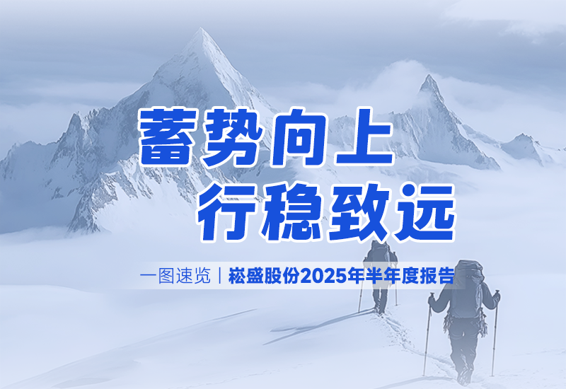 一图速览 | PP电子股份2025年半年度报告